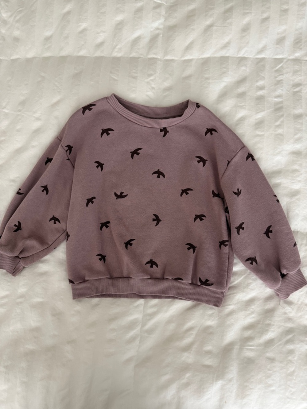 Zara Mauve/Purple Sweatshirt with Black Bird Print
